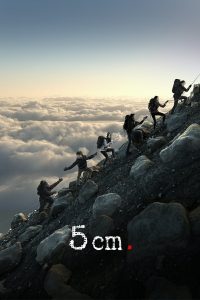 5 cm 2012