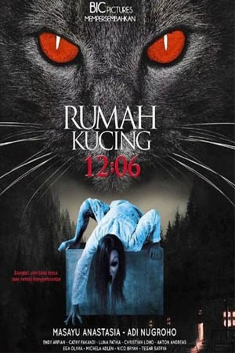 12:06 Rumah Kucing 2017