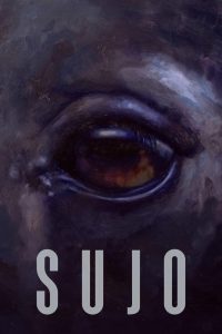 Sujo 2024