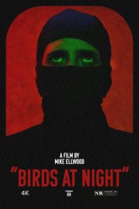 Birds at Night 2024